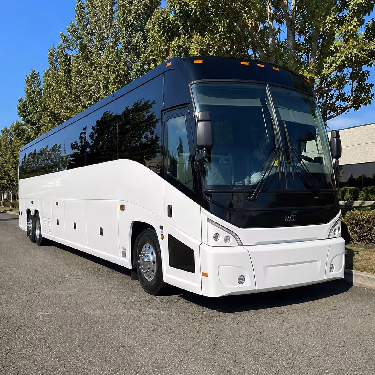 56 passenger charter bus